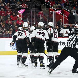 Image post by @arizonacoyotes on Instagram