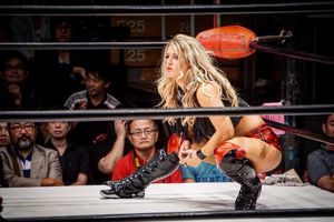 Image post by @tonistorm_ on Instagram