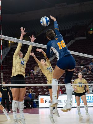 Image post by @utepvb on Instagram