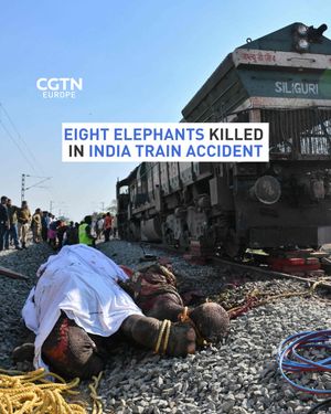 Image post by @cgtneurope on Instagram