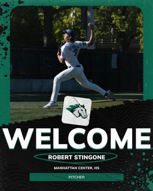 Image post by @stevensonbsb on Instagram