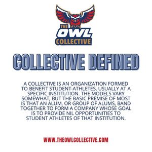 Image post by @theowl.collective on Instagram