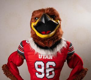 Image post by @utahswoop on Instagram