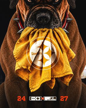 Image post by @Browns on Twitter/X