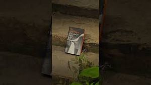 Video post by @thebookerprizes on YouTube