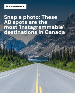 Image post by @curiocitycalgary on Instagram