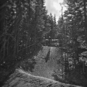 Image post by @whistlerblackcomb on Instagram