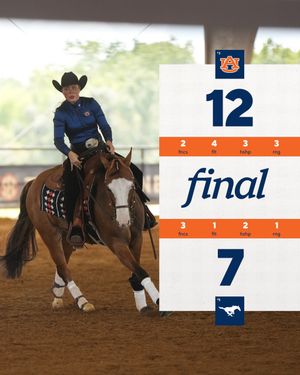 Image post by @auburnequestrian on Instagram