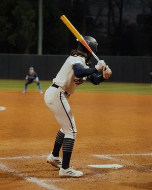 Image post by @gatechsoftball on Instagram
