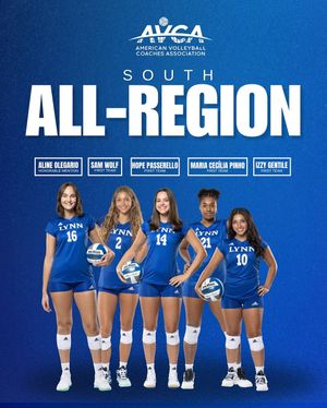 Image post by @lynnvolleyball on Instagram
