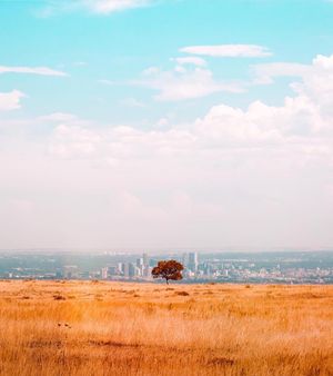 Image post by @denver on Instagram