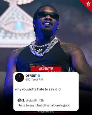 Image post by @WORLDSTAR on Twitter