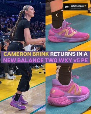 Image post by @soleretriever on Instagram