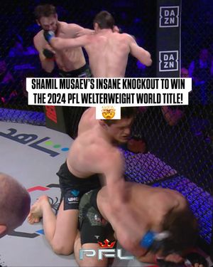Image post by @pflmma on Instagram