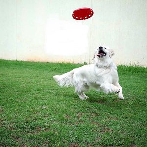 Image post by @mikethewhitegolden on Instagram