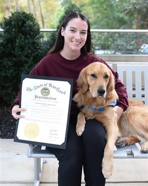 Image post by @canineorg on Instagram