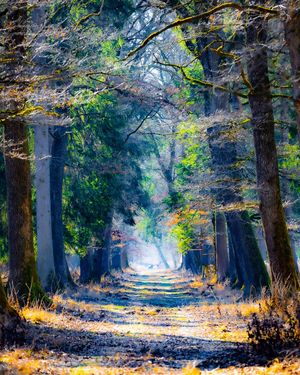 Image post by @cristan.nature.photography on Instagram