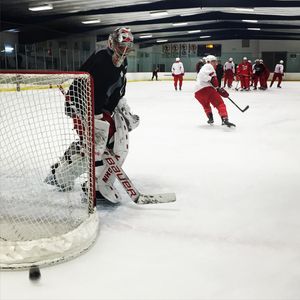 Image post by @canes on Instagram