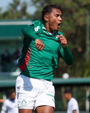 Image post by @palmeiras on Instagram