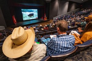 Image post by @txextension on Instagram