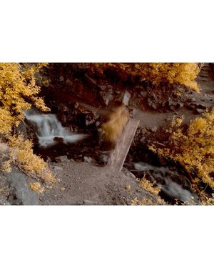 Image post by @milesbjordan on Instagram
