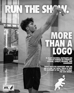 Image post by @runtheshow.us on Instagram