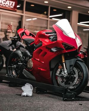 Image post by @panigalers on Instagram