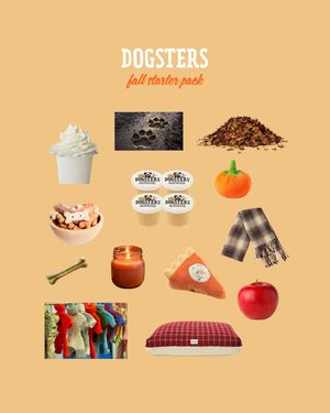 Image post by @dogstersicecream on Instagram