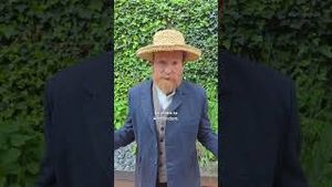Video post by @streamonmax on YouTube