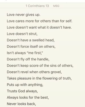 Image post by @angelarye on Instagram