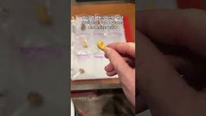 Video post by @planters on YouTube