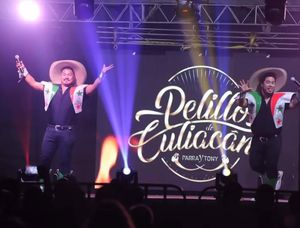 Image post by @pelillosdeculiacan on Instagram