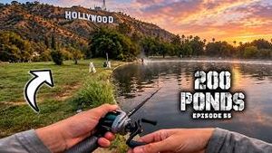 Video post by @tylersreelfishing on YouTube