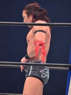 Image post by @thewrestlingclassic on Instagram