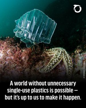 Image post by @oceana on Instagram