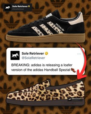 Image post by @soleretriever on Instagram