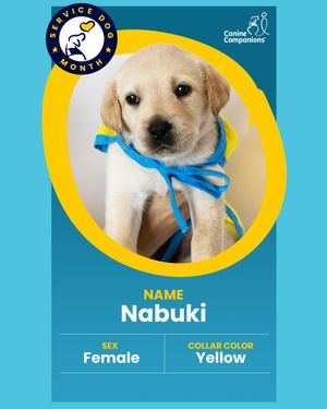 Image post by @canineorg on Instagram