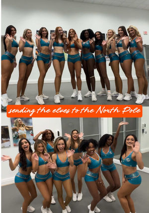 Video post by @dolphinscheer on TikTok