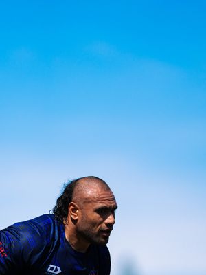 Image post by @theparraeels on Instagram