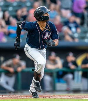 Image post by @MiLB on Twitter