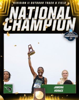 Image post by @ncaadii on Instagram