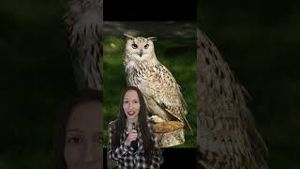 Video post by @yourtango on YouTube
