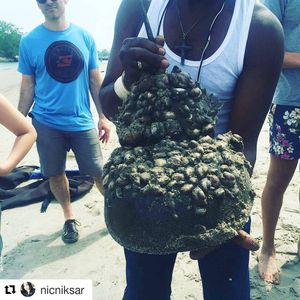 Image post by @worldscifest on Instagram