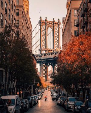 Image post by @twotreesny on Instagram