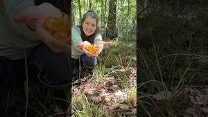 Video post by @annathearcher on YouTube
