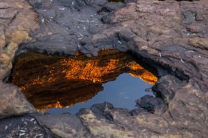 Image post by @_lalu_photographer on Instagram