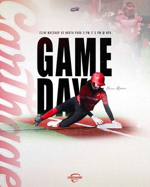 Image post by @carthagesoftball on Instagram