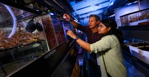 Image post by @sdlifechanging on Instagram