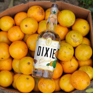 Image post by @dixievodka on Instagram