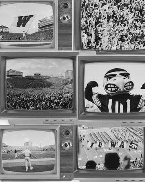 Image post by @iowahawksnest on Instagram